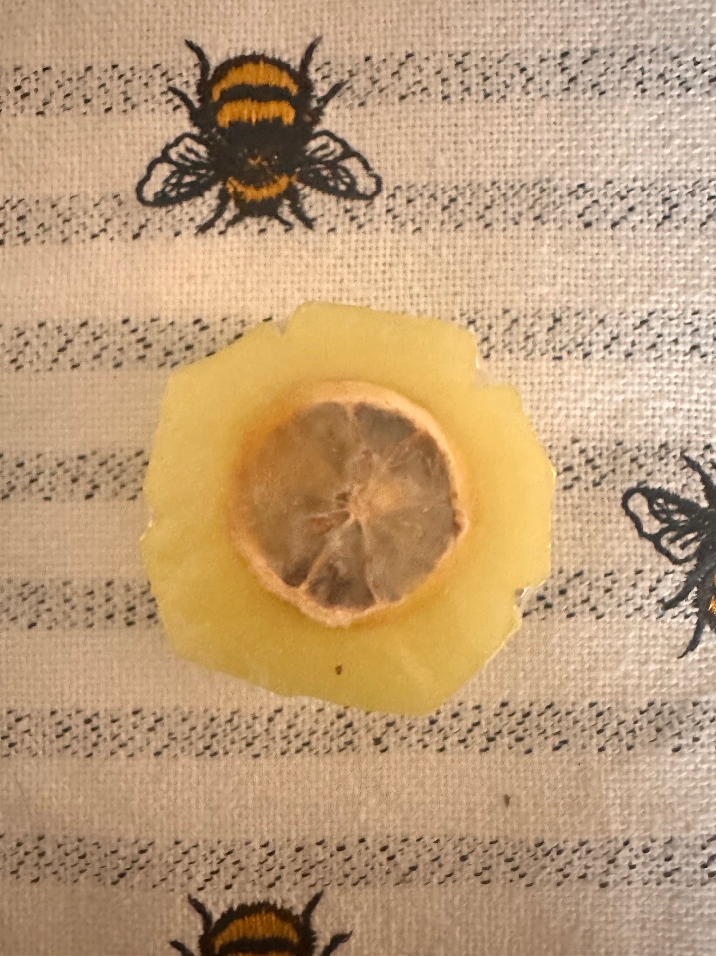 Morning Dew Cleanse Bar | Citrus & Aloe Soap Bar